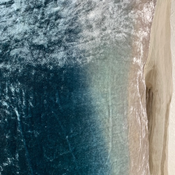 Viviana Uchitel Kvinna Silk Velvet Top W/ Chiffon Sleeve in Scandinavian Sky NWT - Picture 2 of 6